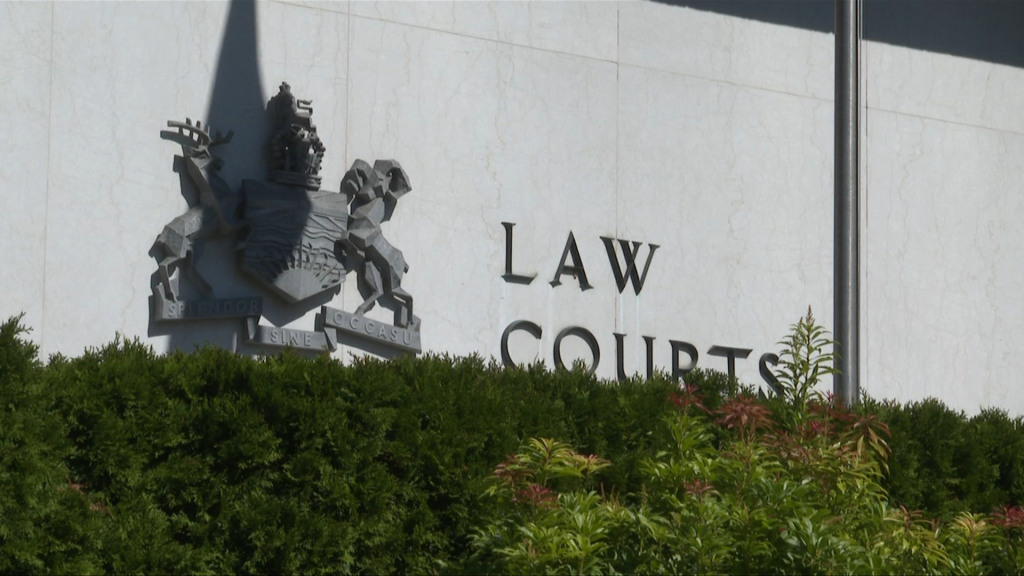 Victoria man who killed neighbour with hatchet sentenced to life with no parole eligibility for 11 years