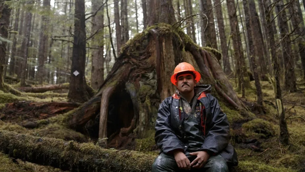 Logging took the trees that bears called home. The Haida Nation is building them new dens