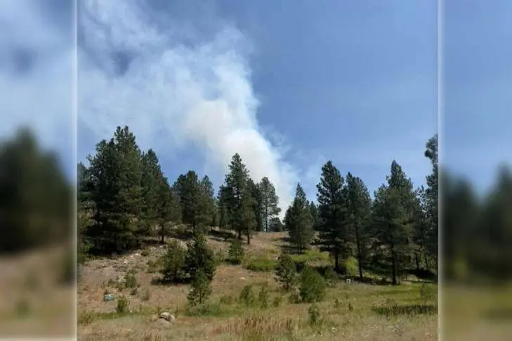 Evacuation alert issued for wildfire on Anarchist Mountain east of Osoyoos