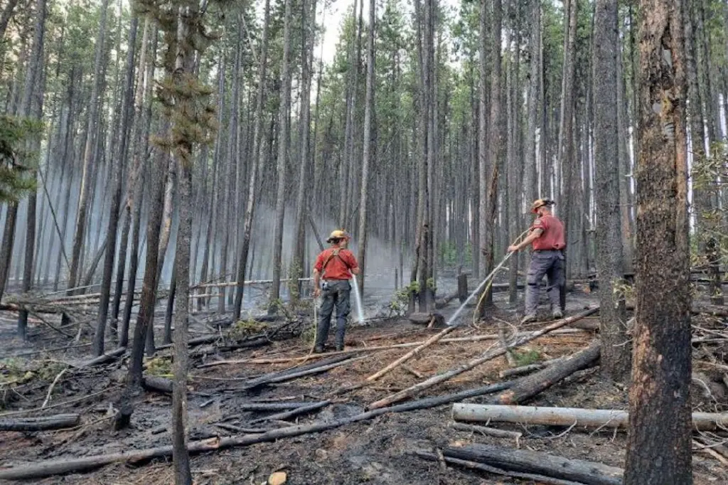 Bald Range Wildfire west of Summerland remains held at 25,185 hectares